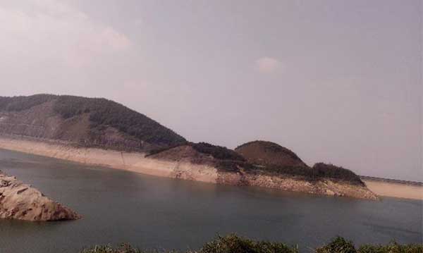 黑麋峰峰頂 綠樹蔥蔥，空氣都是甜的